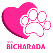 Bicharada Ong